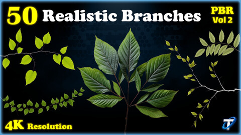 50 Realistic Branches - PBR Textures (MEGA Bundle) - Vol 2