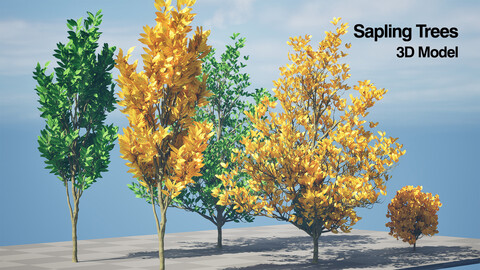 Autumn Forest Saplings trees 3d pack