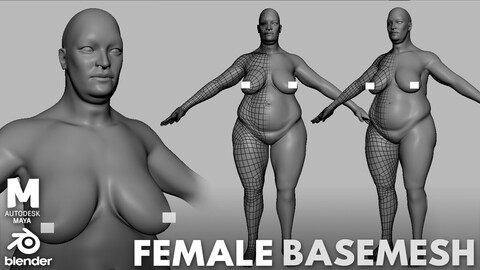 Fat Female Anatomy BaseMesh - Topology + UV Map