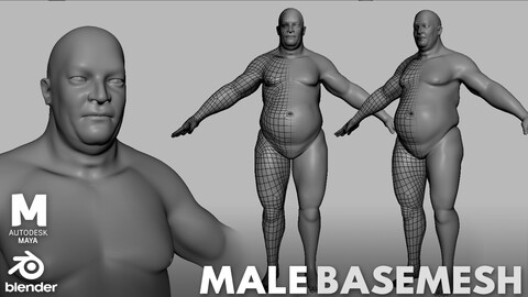 Fat Male Anatomy BaseMesh - Topology + UV Map