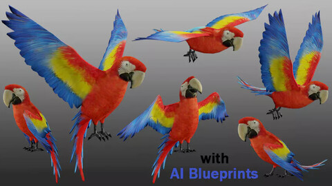 Medhue Parrot 3D Models (Animated)