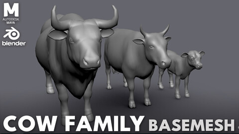 Cow Family ( Bull, Cow, Calf ) - Topology + UV map