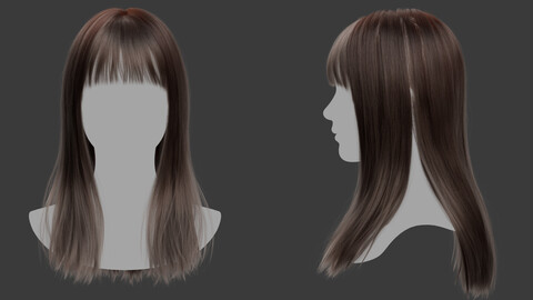 XGen-Hair_E