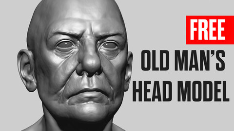 Free Old Man's Head Model