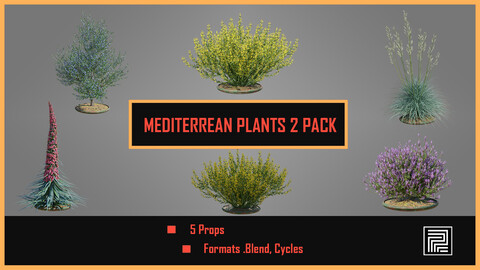 Mediterrean Plants 2 PACK