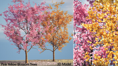 Low Poly Pink yellow Blossom Trees 3D Model