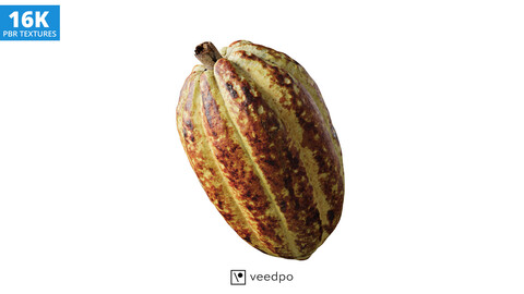 Cocoa Pod 3D Scan 01 Photorealistic 3D Model - Veedpo