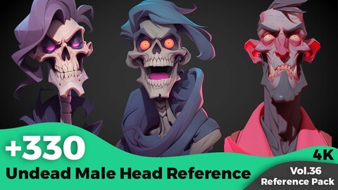 +330 Undead Male Head Reference(4k)