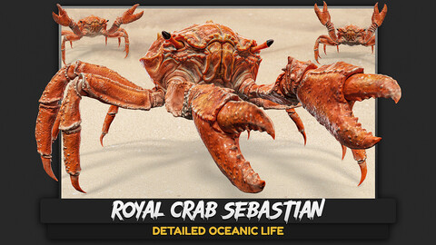 Royal Crab - King Sebastian - Low Poly Realistic 3D Model - Rigged Animated Monster  - Rock Land Creature - #18