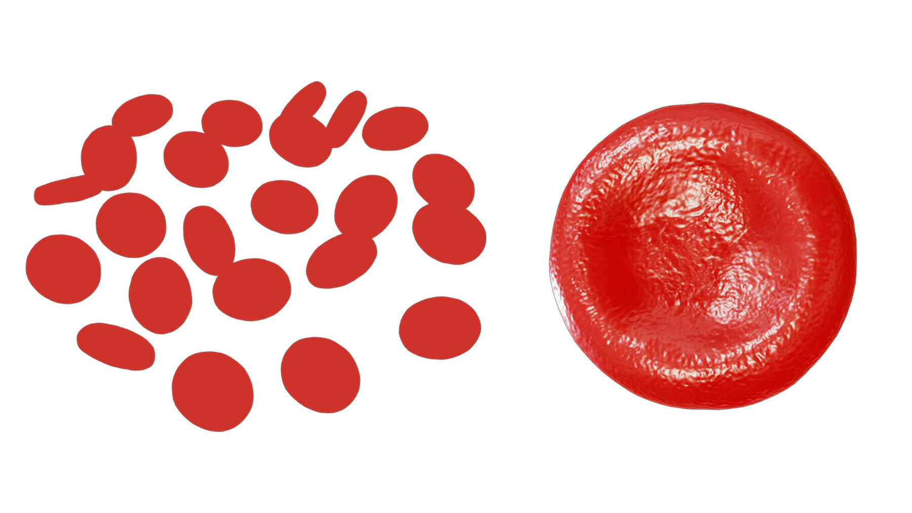 artstation-normal-blood-cells-vs-anemia-resources