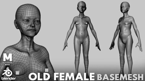 Old Female Anatomy BaseMesh - Topology + UV Map