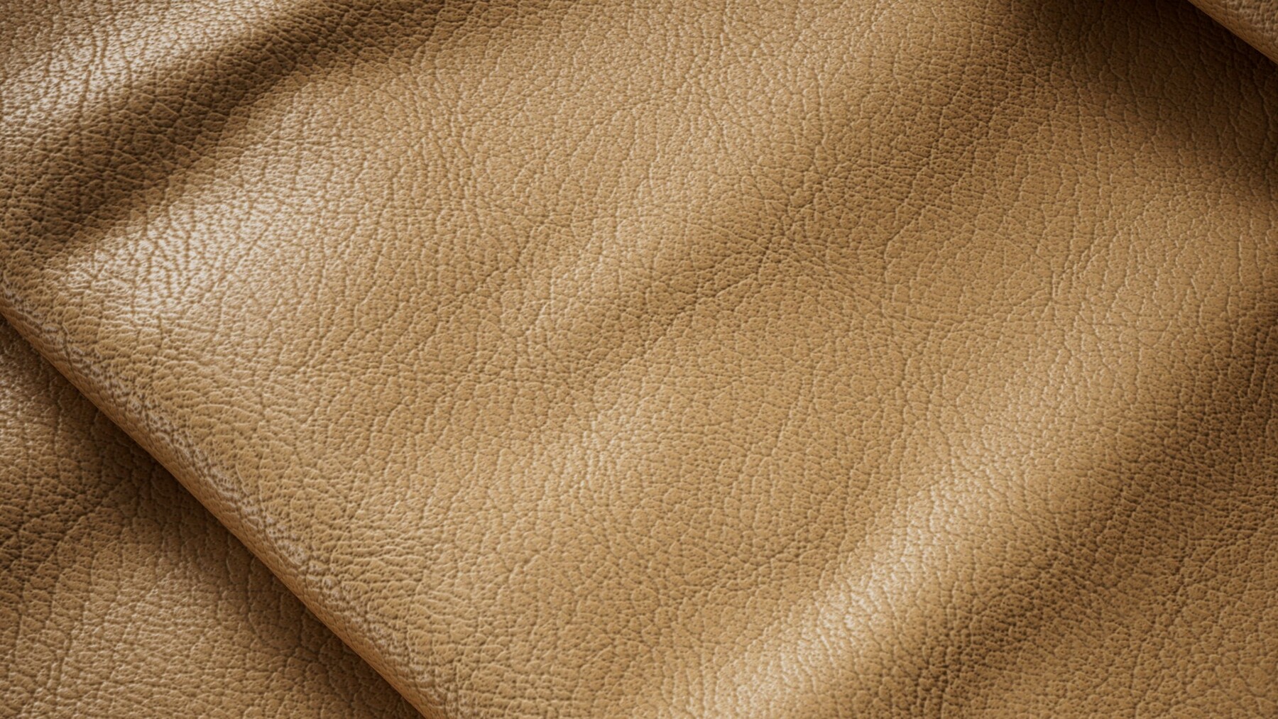 ArtStation - Leather - Material Scan