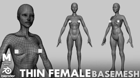 Thin Female Anatomy BaseMesh - Topology + UV map