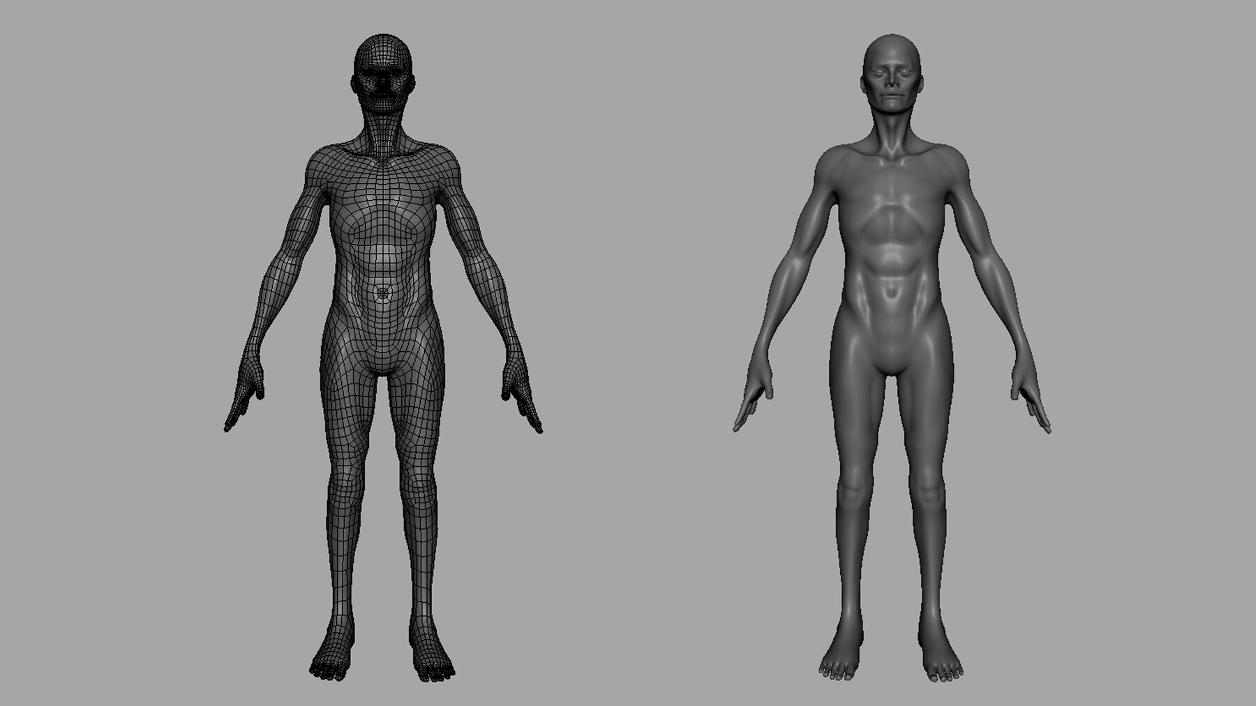 ArtStation - Thin Male & Female BaseMesh Anatomy - Topology + UV map