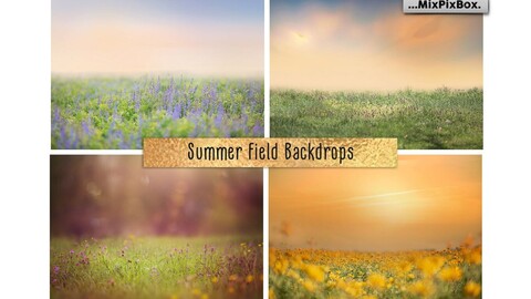 Summer Field Backdrops