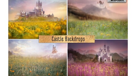 Castle backdrops