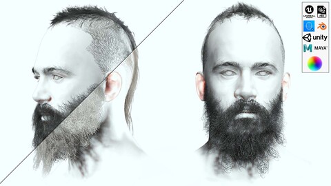 Berber Male Hair - Messy long Beard Mustache