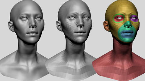 Female Head Basemesh D