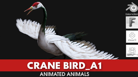 Crane Bird_A1