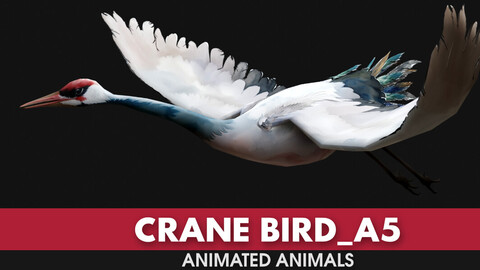 Crane Bird_A5