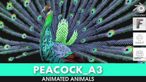 Peacock_A3