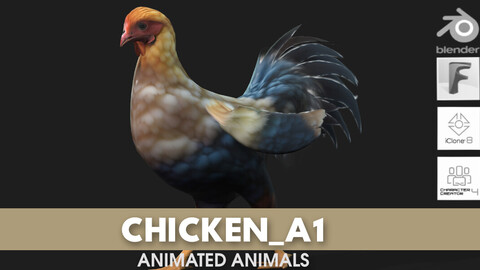 Chicken_A1