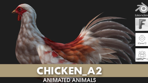 Chicken_A2