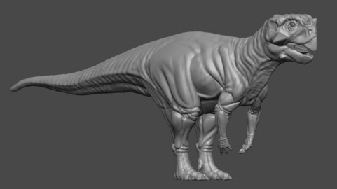 Dinosaur Basemesh 21