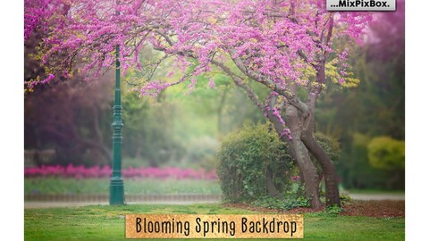 Blooming Spring Backdrop