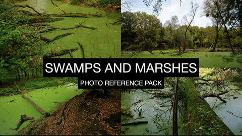 SWAMPS AND MARSHES PHOTO REFERENCE PACK 600 jpgs