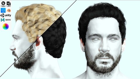 Wavy Short Male Hair Low-poly