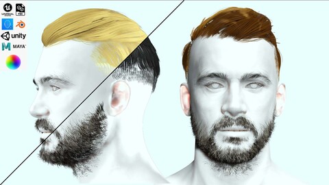 Side Part Male Hair Cut Low-poly