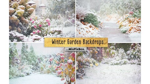 Winter Garden Backdrops