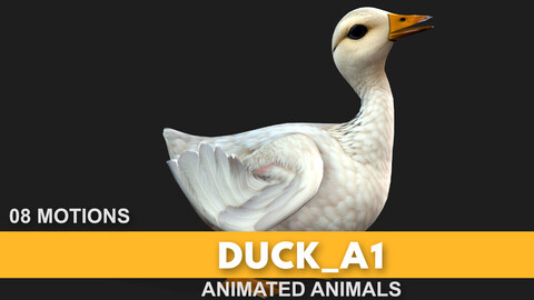 Duck_A1