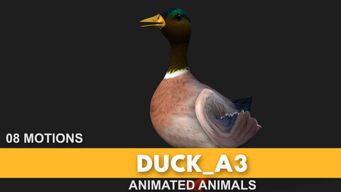 Duck_A3