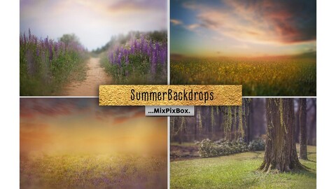 Summer backdrops