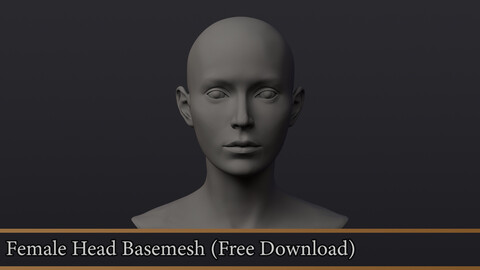 Female Head Basemesh