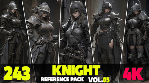 243 4K Knight Warrior Reference Pack Vol.05