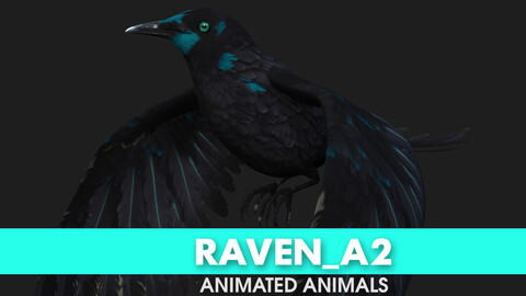 Raven_A2