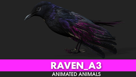 Raven_A3