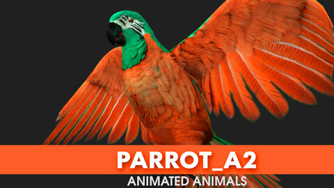 Parrot_A2