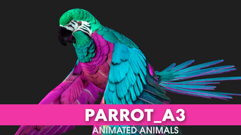 Parrot_A3