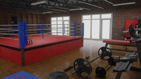 Boxing Gym and Exercise Props Equipment