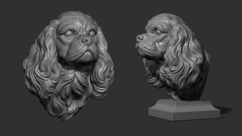 Spaniel Cavalier King Charles bust