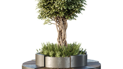 HQ Tree and bush garden box outdoor VOL 32