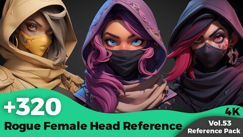 +320 Stylized Rogue Female Head Reference(4k)