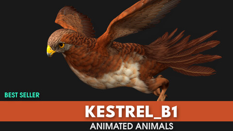 Kestrel_B1