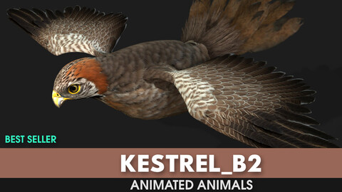 Kestrel_B2