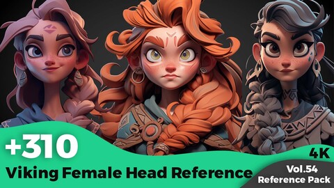 +310 Stylized Viking Female Head Reference(4k)