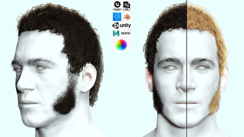 Realistic Curly Man Hair - Sideburns Beard